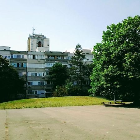 Men Who Knit Apartment Belgrade Exterior photo