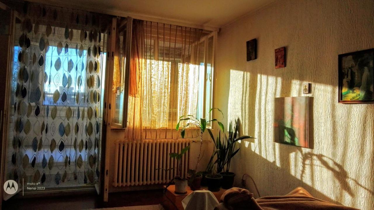 Men Who Knit Apartment Belgrade Exterior photo
